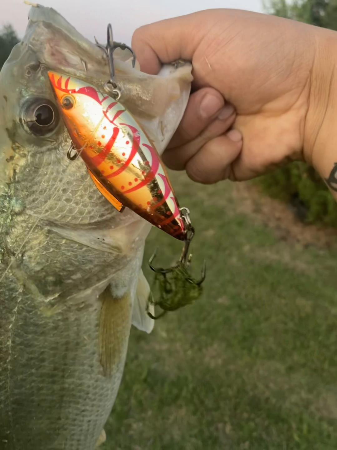 @CrankBaitKev