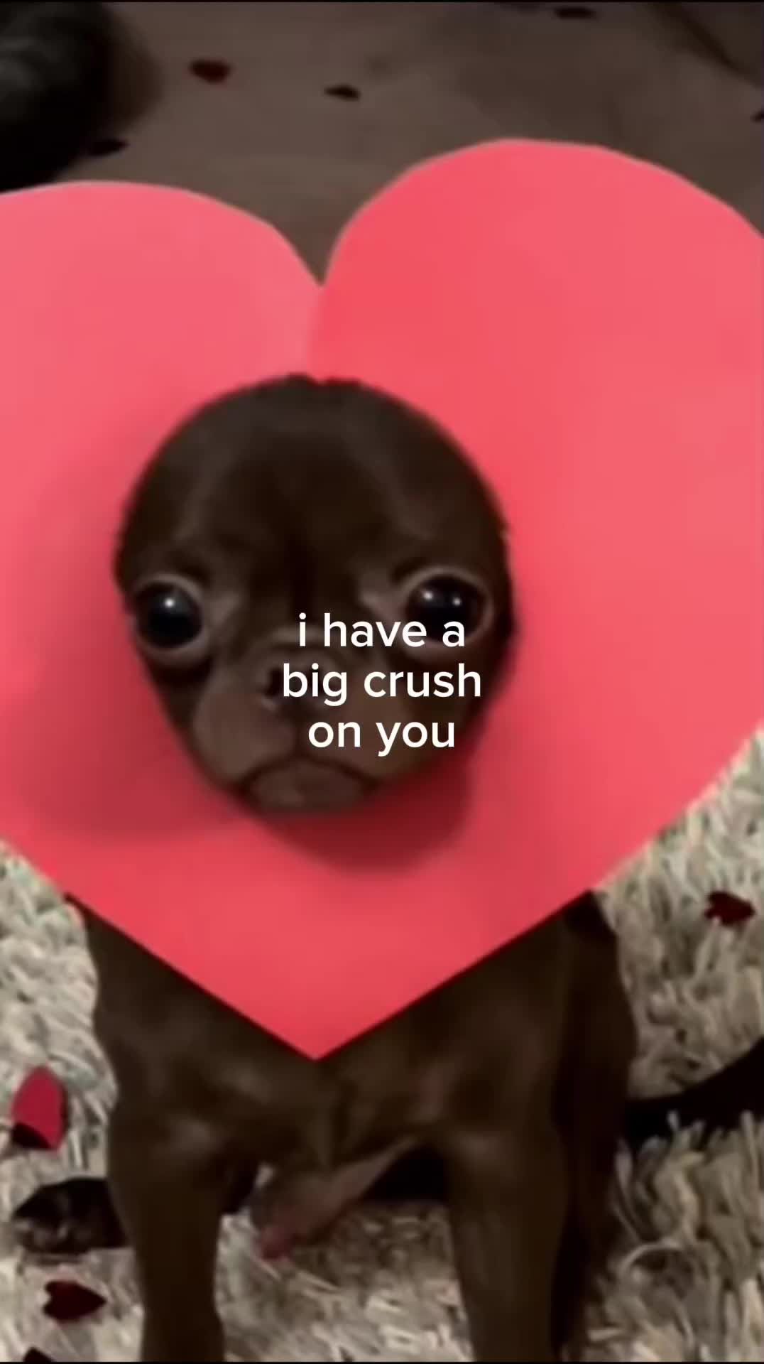 @Doug funny