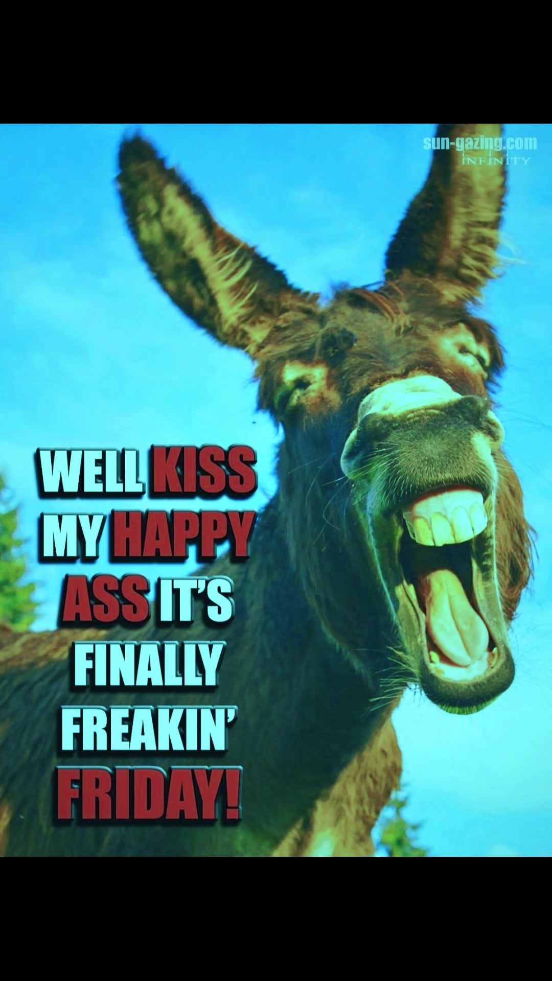 @DK_COWABUNGA