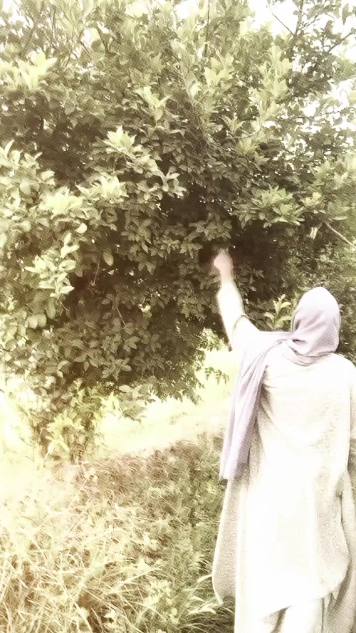 @🔥🦁راجپوت ذادی🦁🔥