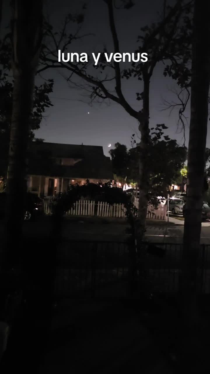 @🌙Astroscarlos⭐️
