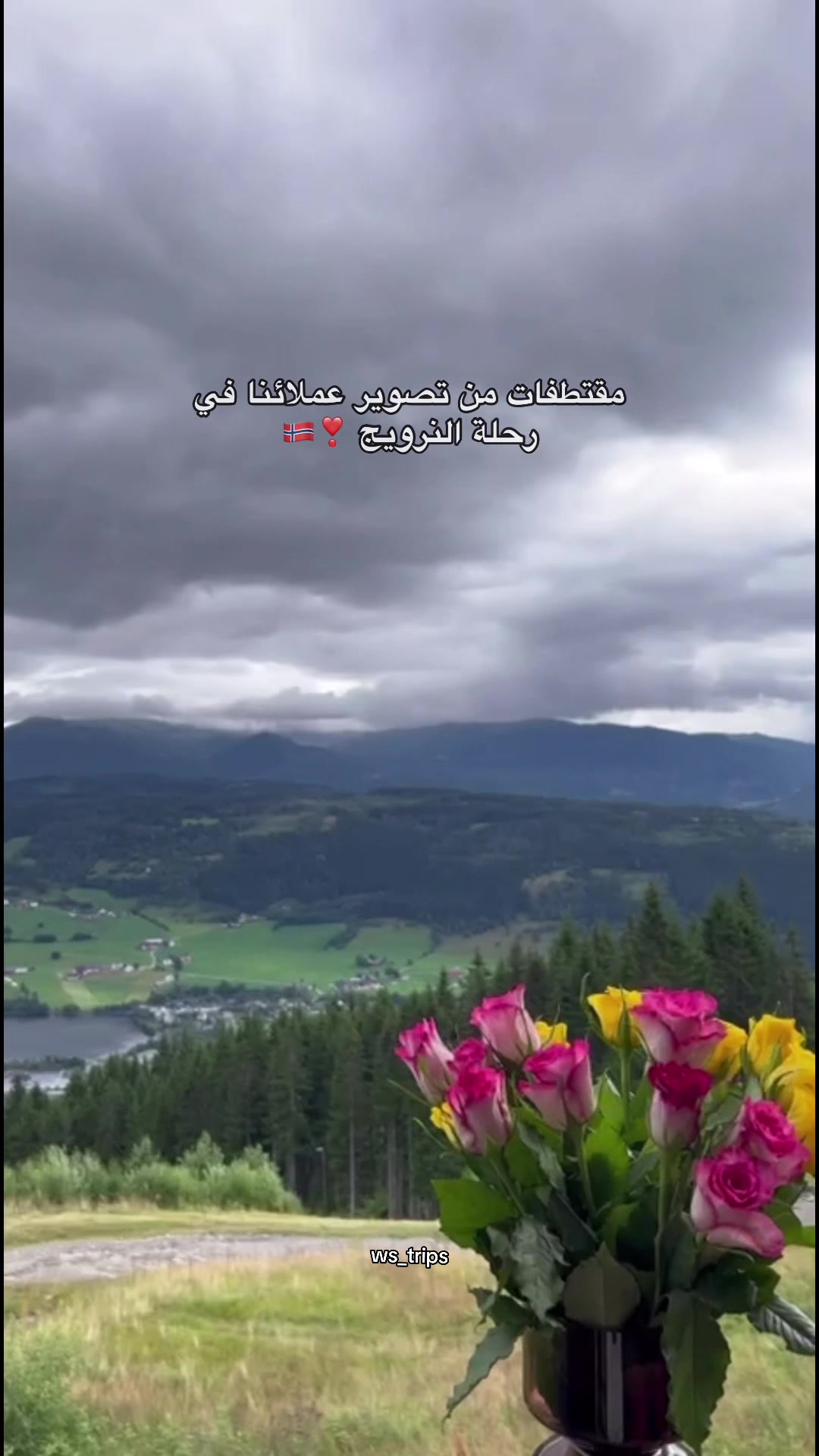 @روح العالم 🇸🇦🇷🇺