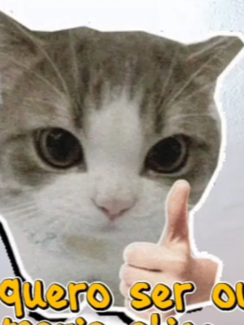 @beubeca