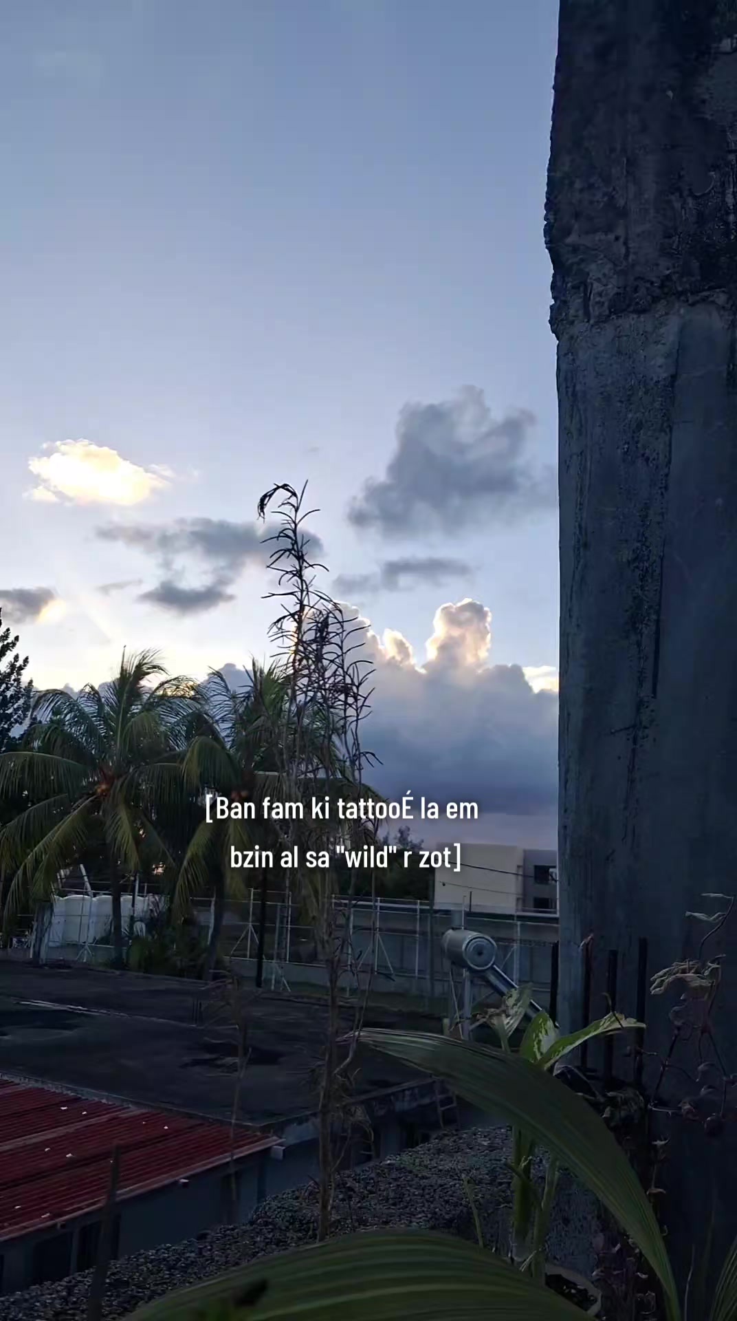 @AYA&Aacute;N̈