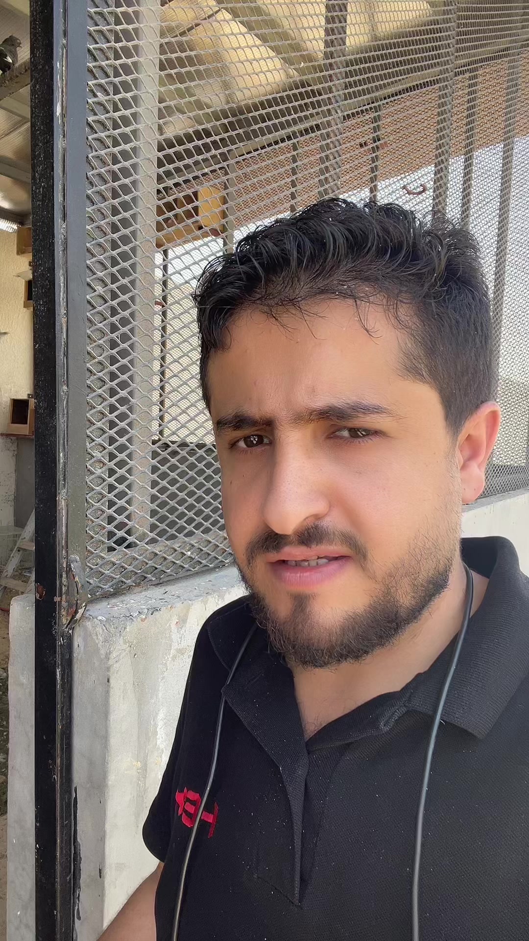 @Shehab-شهاب