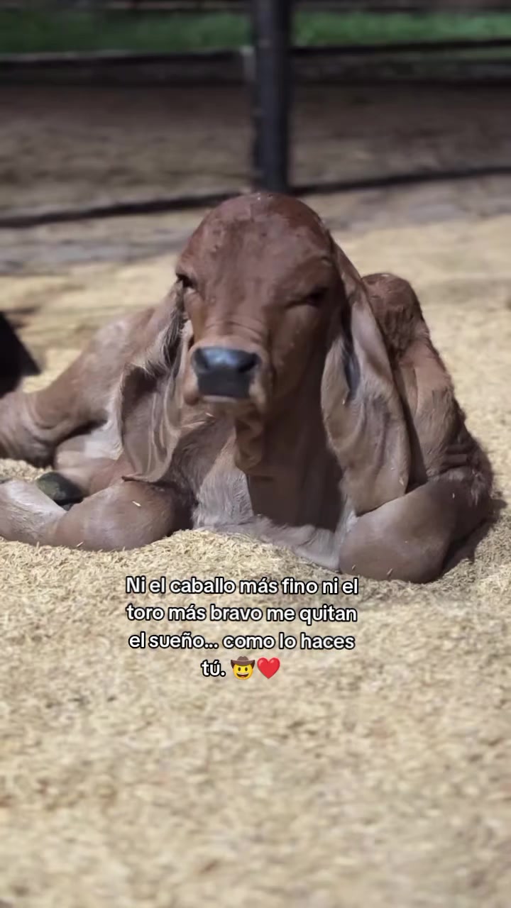 @Robin๐๐๐ค ๐ค ๐๐๐ฌ๐น๐ฌ๐น