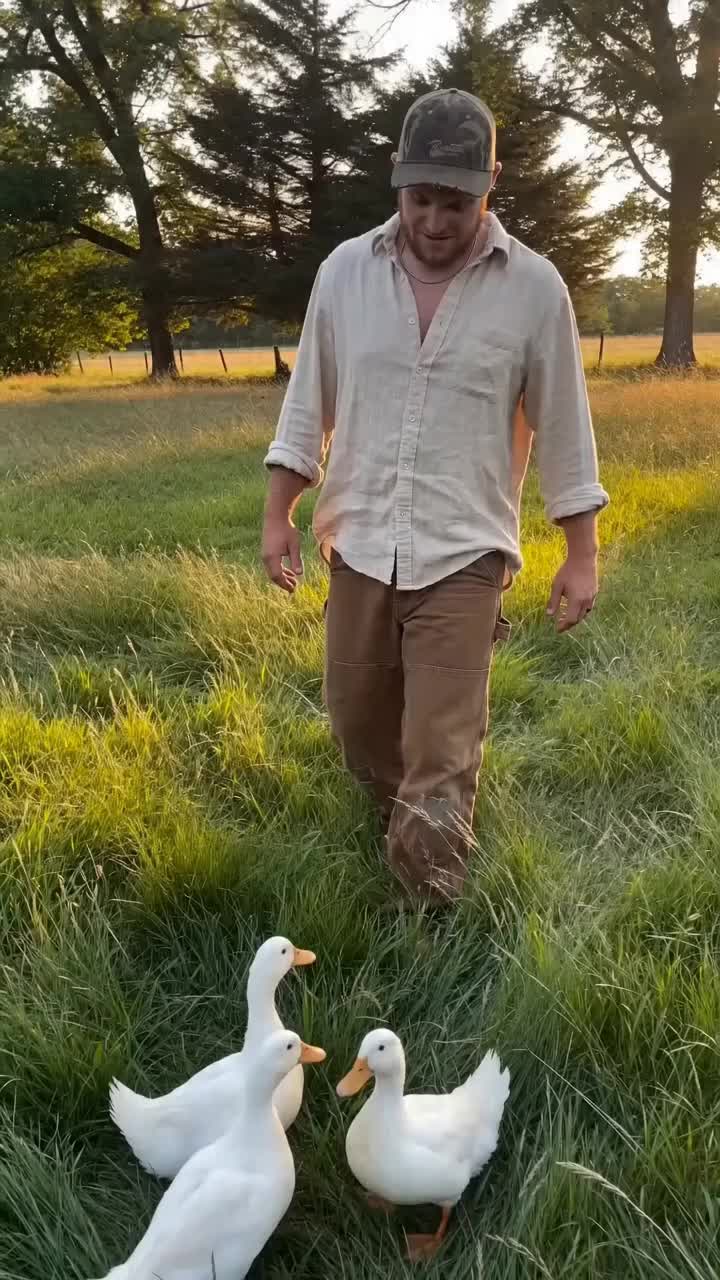 @Mrbudson