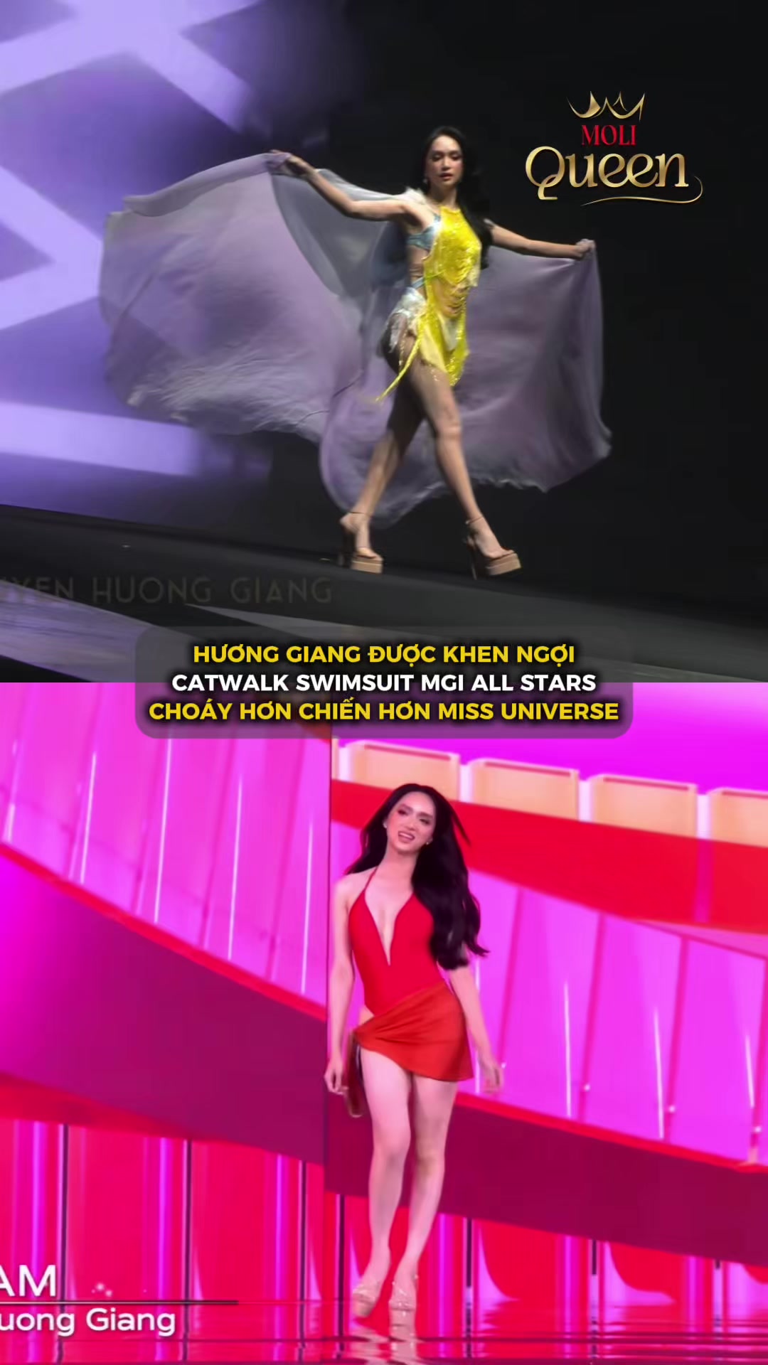 @MoliQueen
