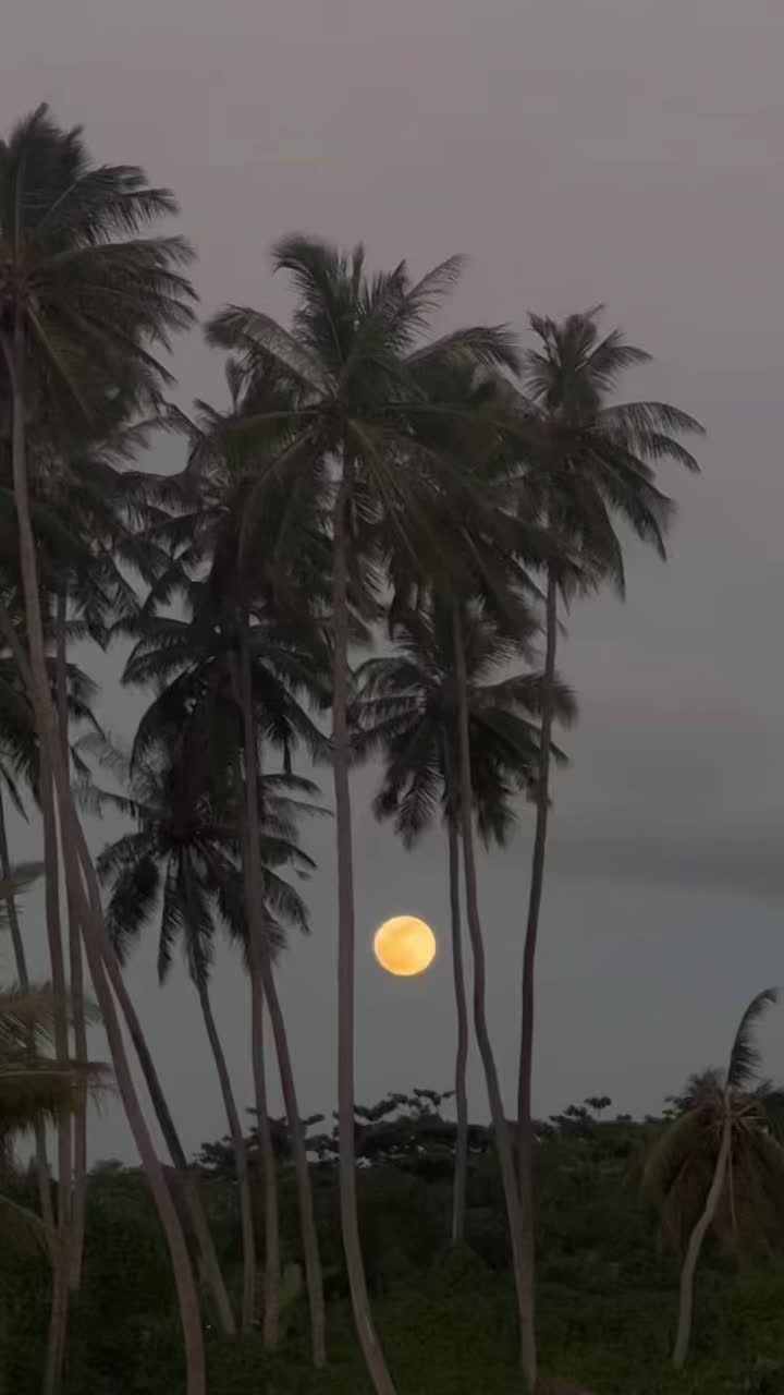 @Aishath Sana