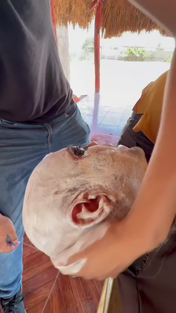@Diegoneitroo