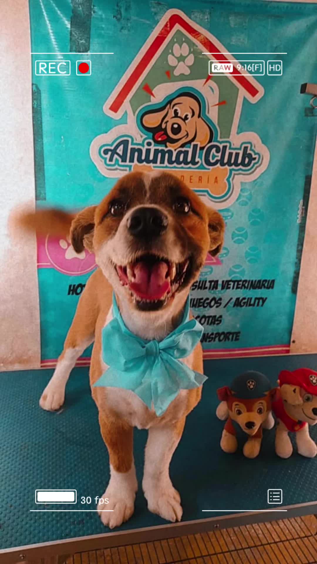 @SAM 🐾🦴