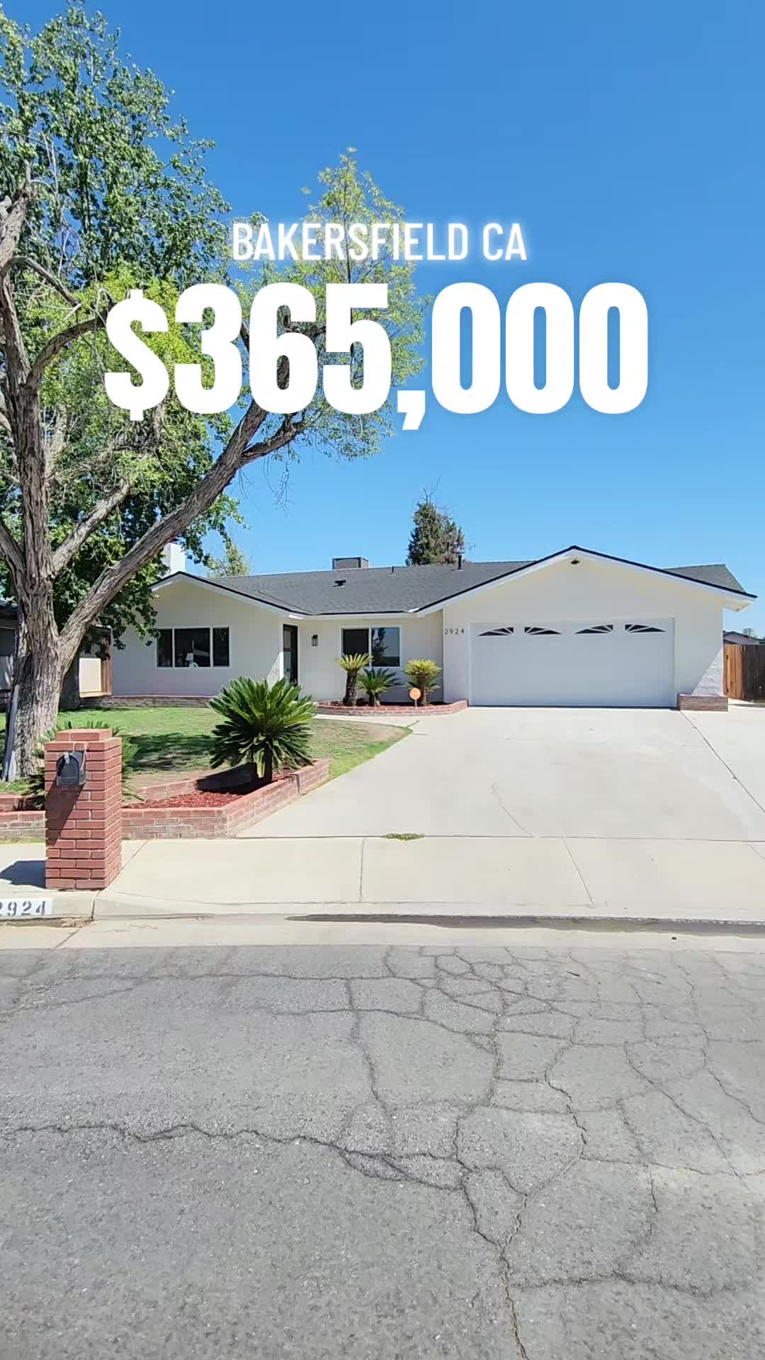 @Mr Real Estate