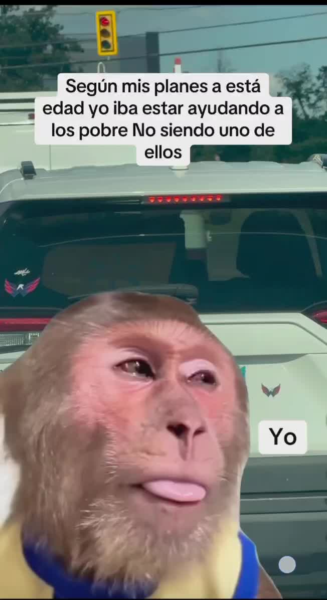 @Chipupi