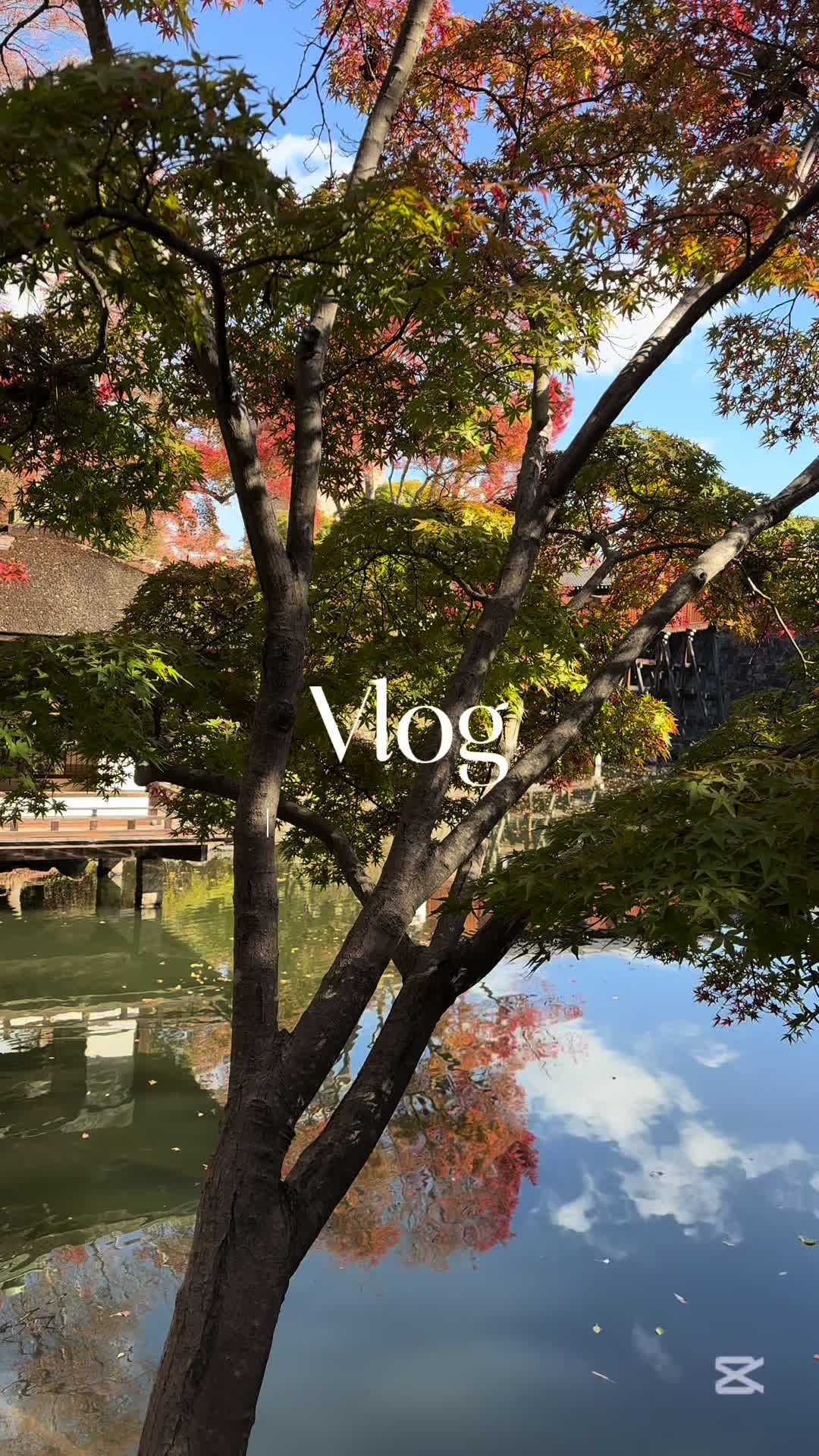 @amane | 気まぐれ韓国女子のvlog