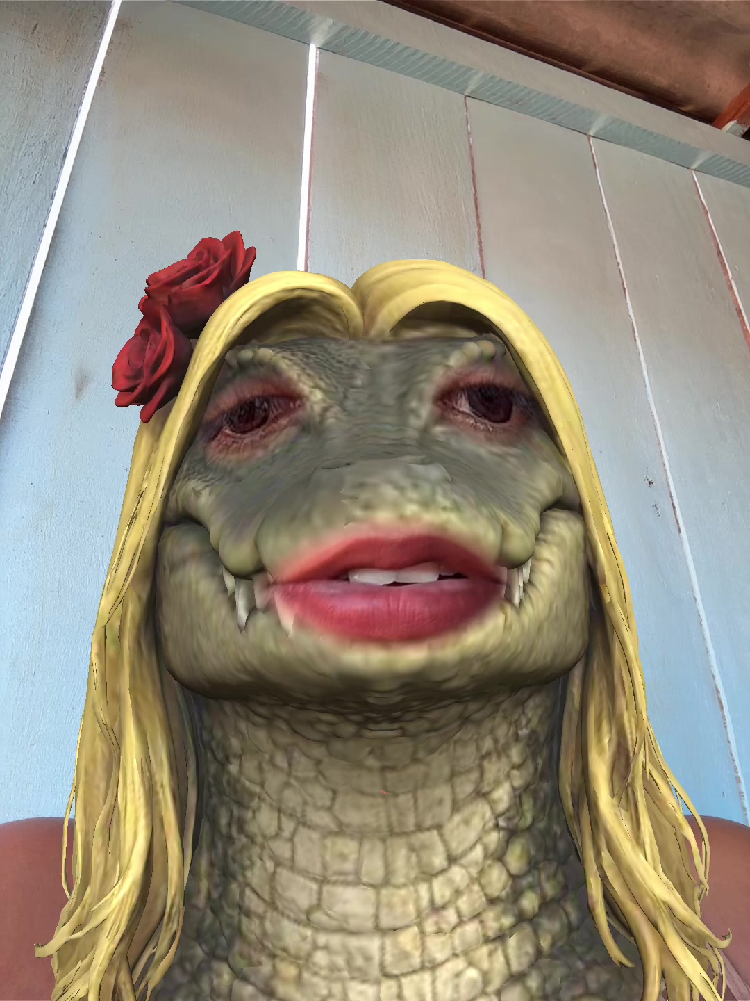 @cuca_da_mata