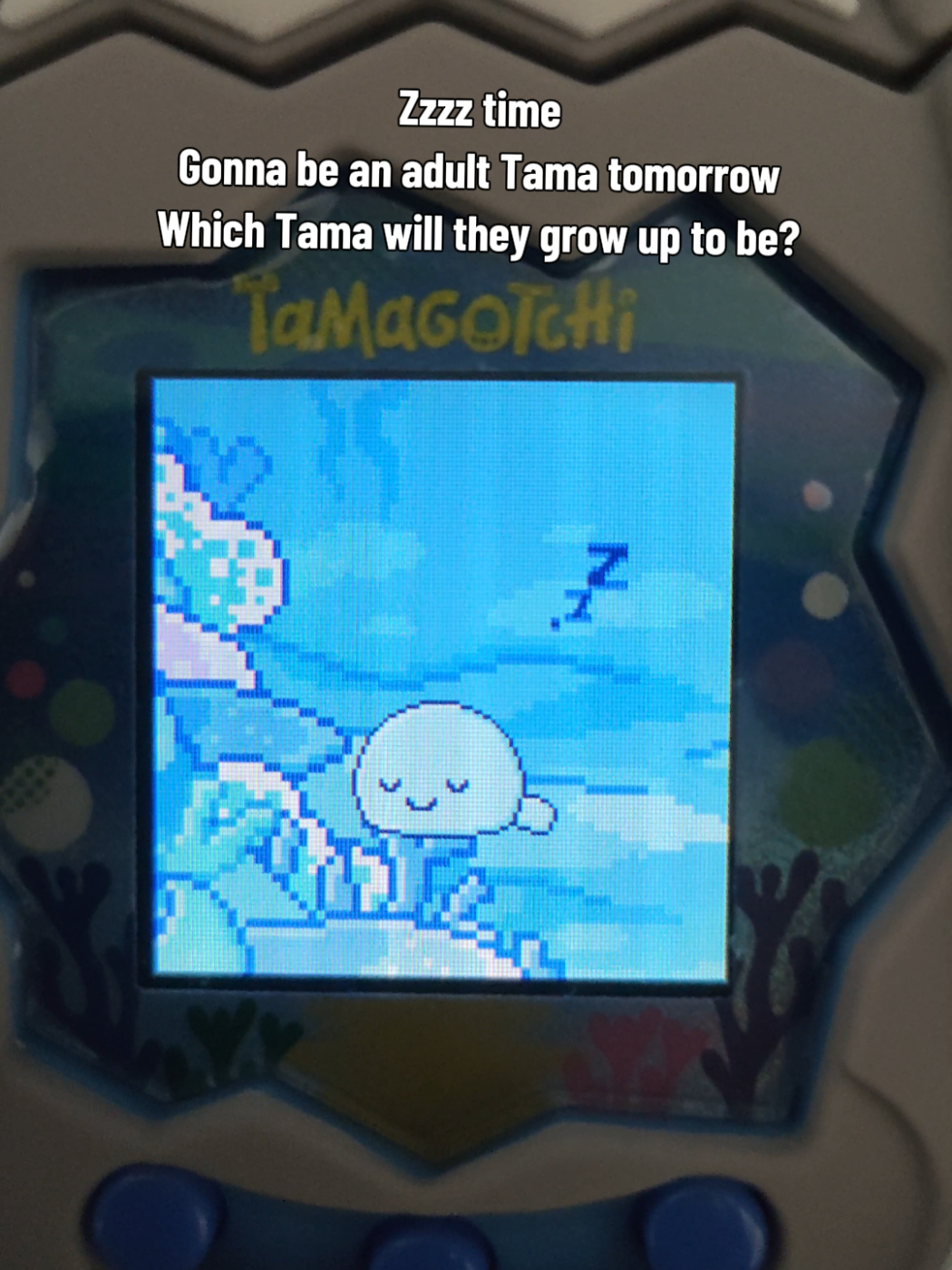 @Tama Hatchery