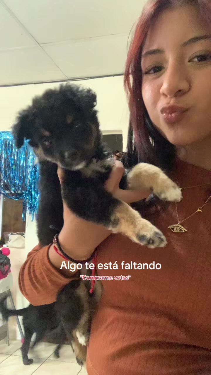 @celelives