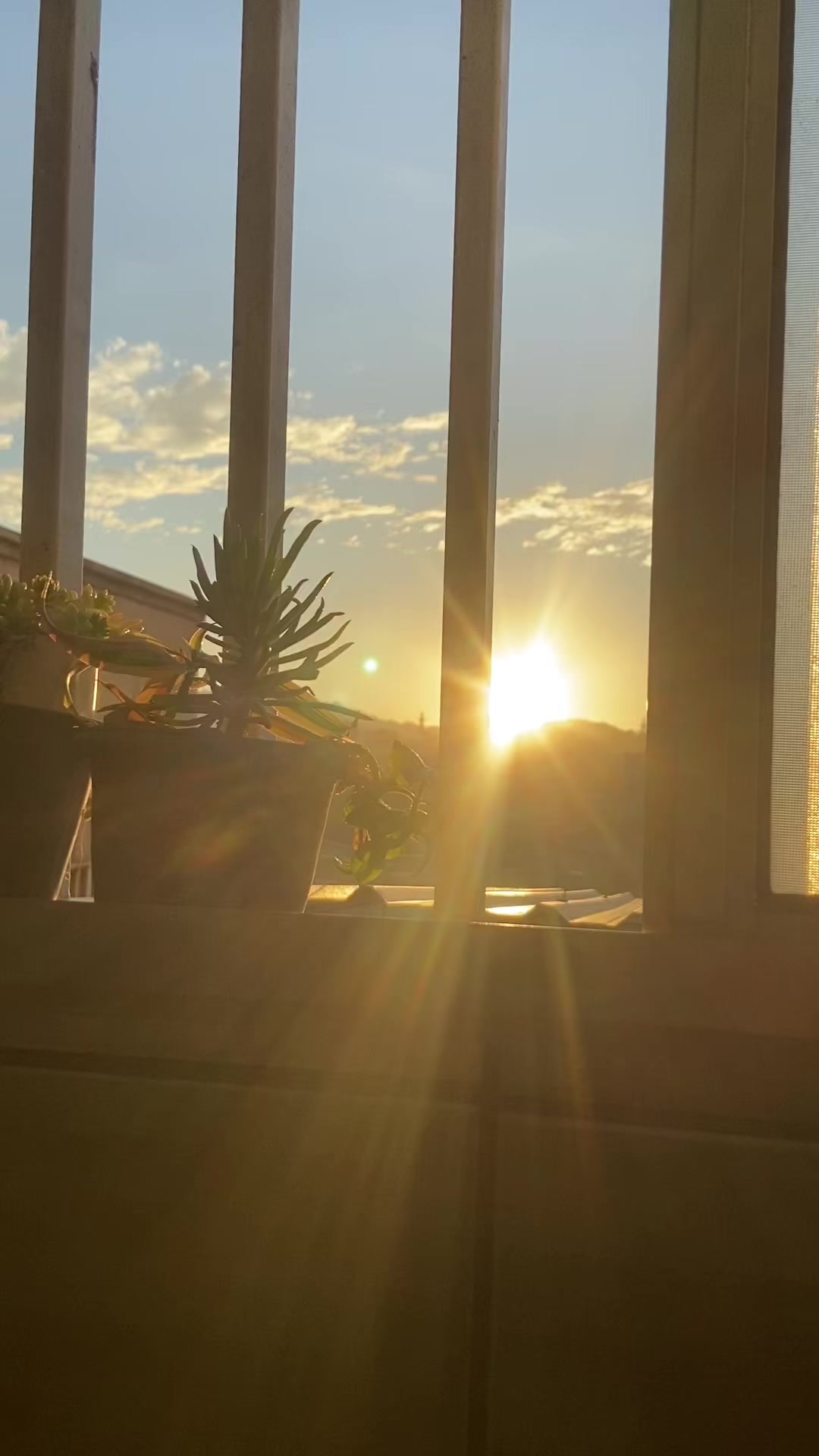 @Café da Jú☕🌺🤗🏡🙏🏻