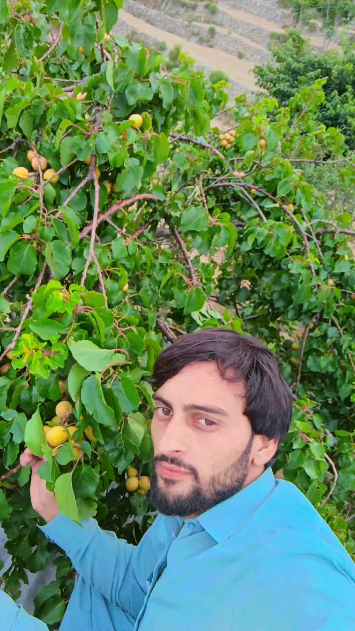 @barkatullahullah384