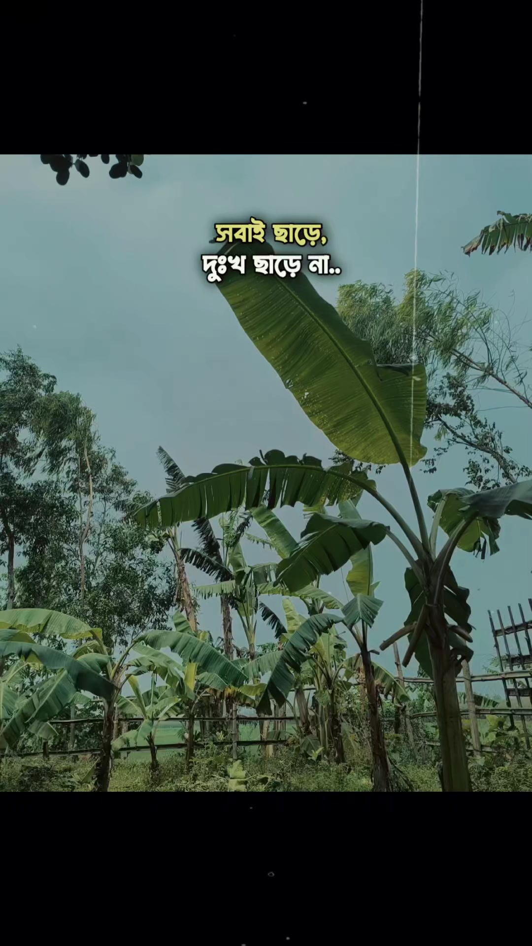 @Samiul Khan 🇧🇩🇸🇬