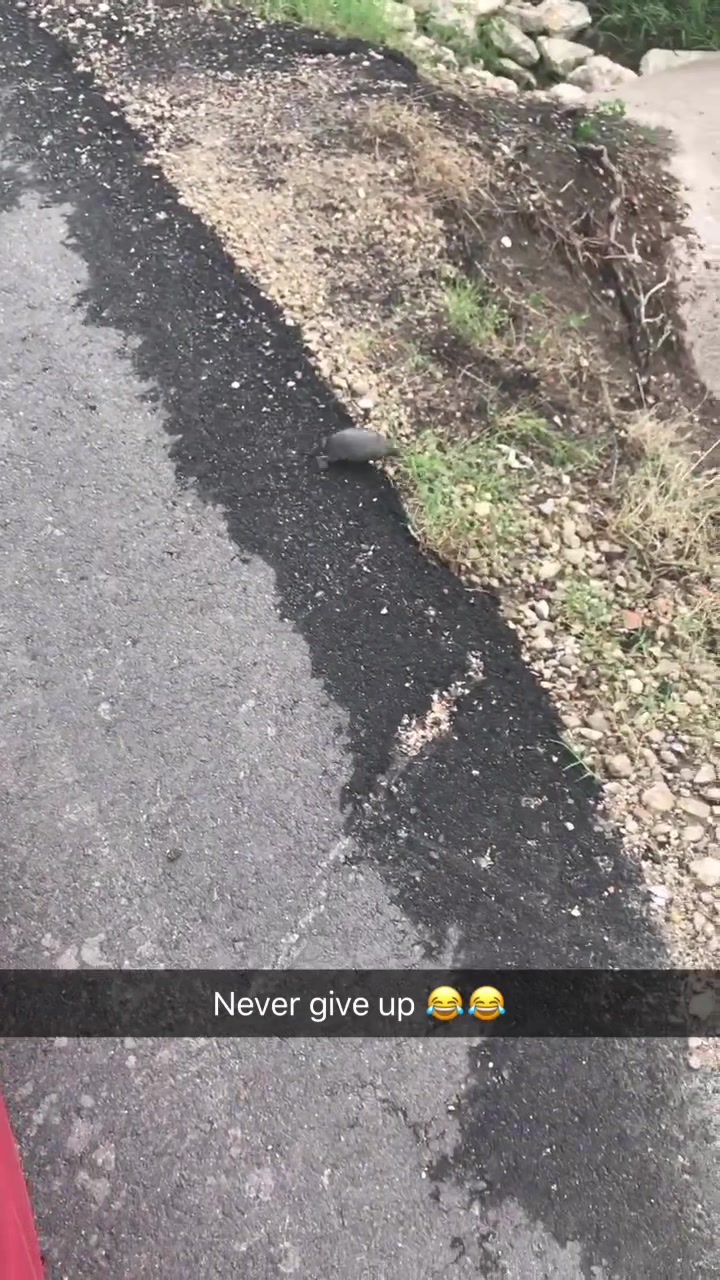 @destineeeeee42