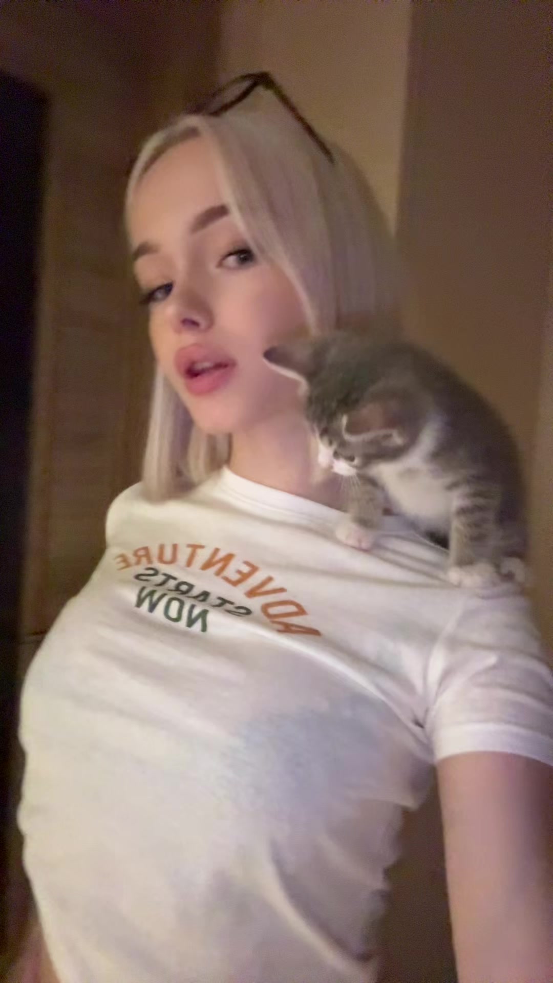 @Тгк:trhmeow