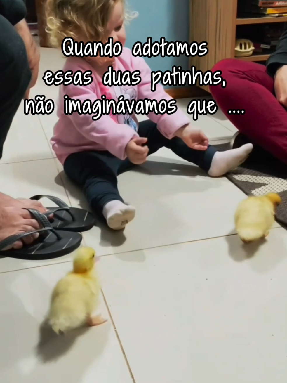 @Natália e Beatriz 🐣