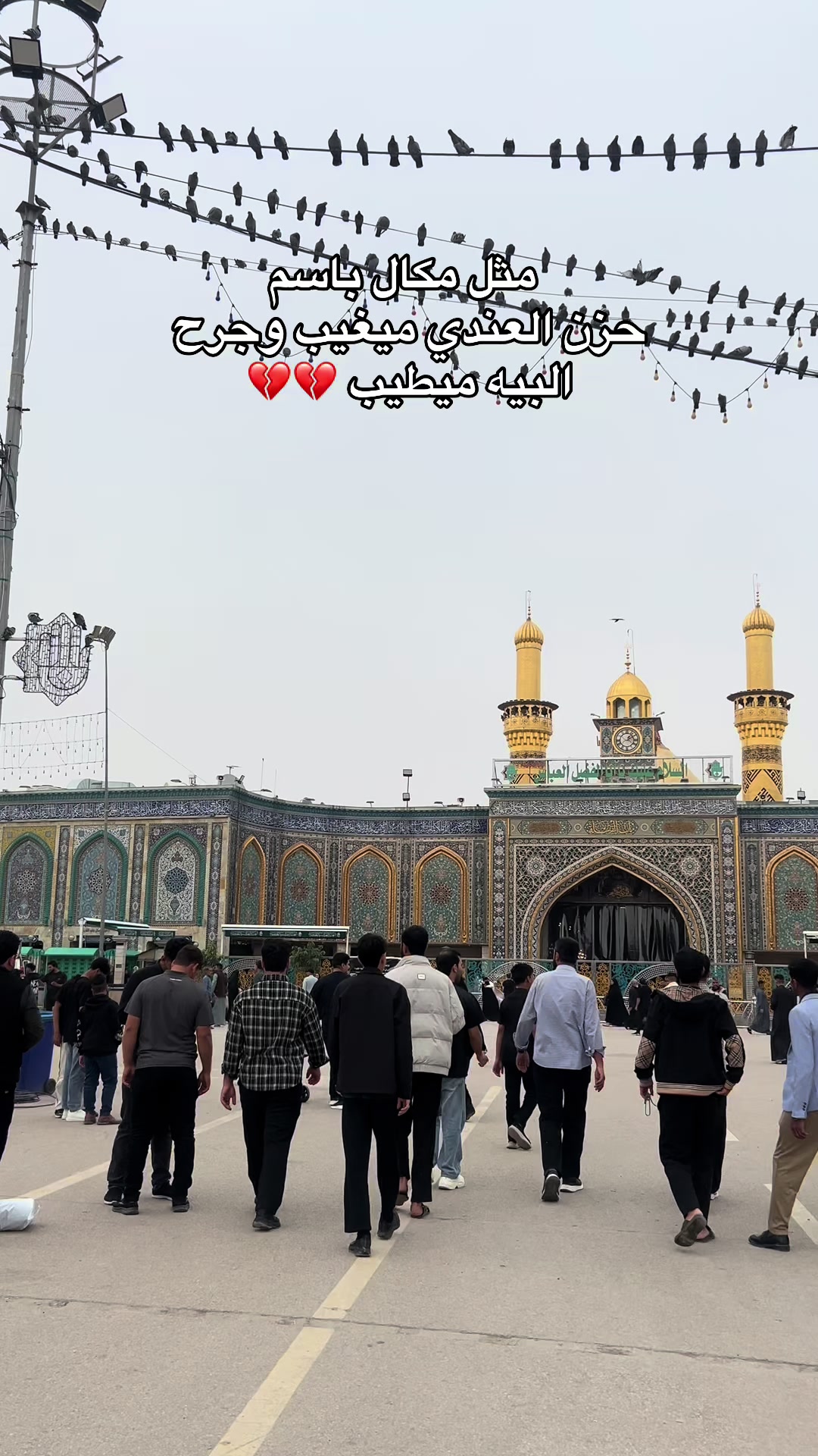 @: ᷂زهرَاءُ ༯ .