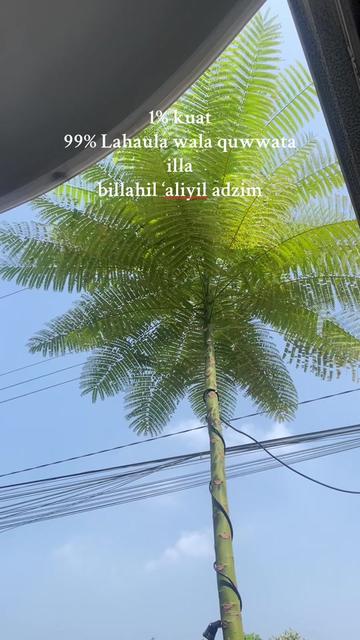 @Tarti