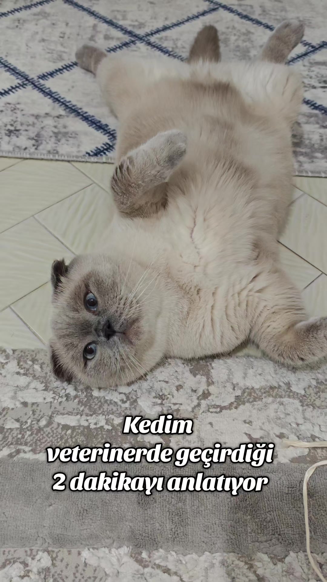 @💙SÜTLAÇ BEY💙