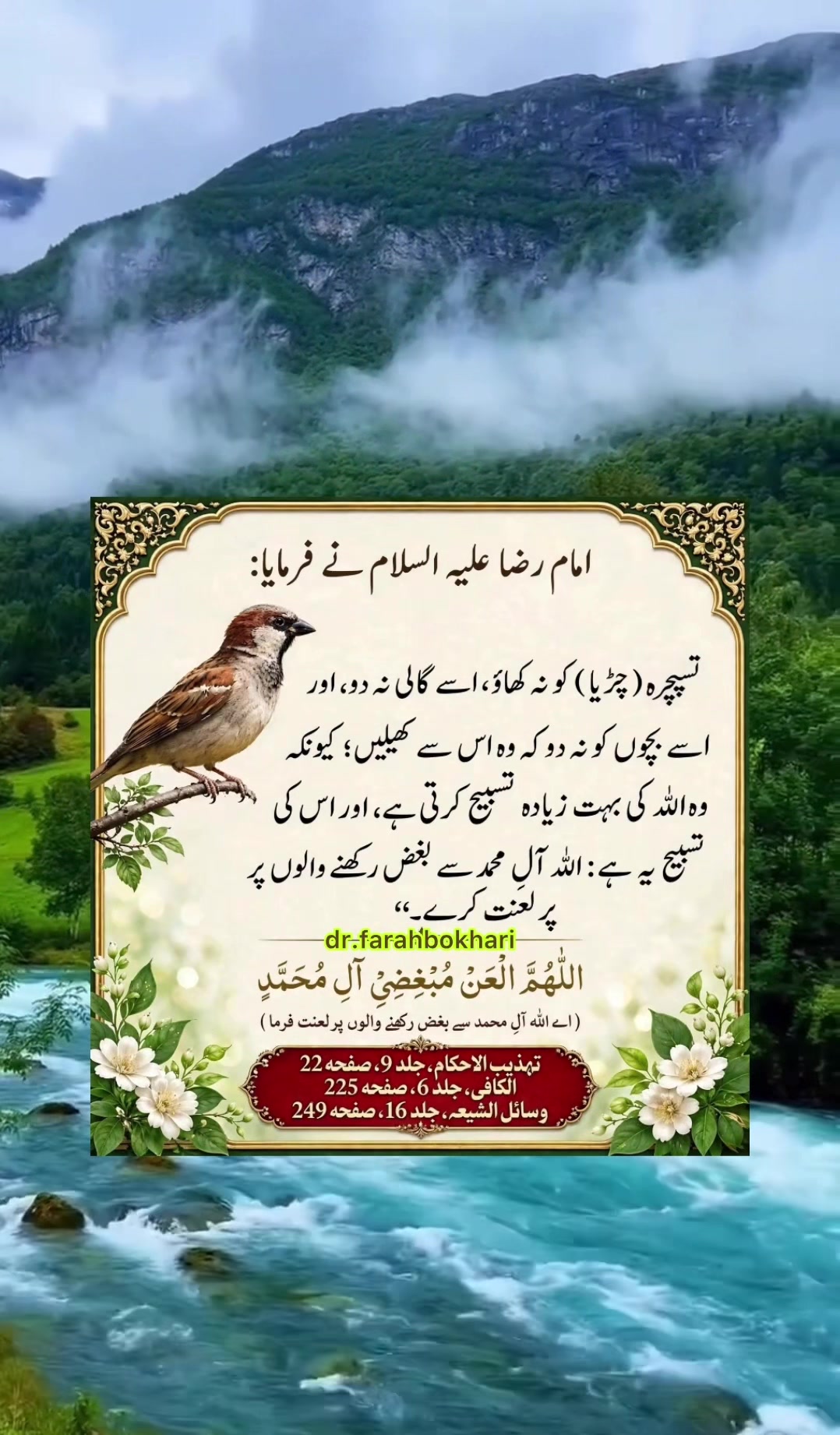 @dr.farahbokhari