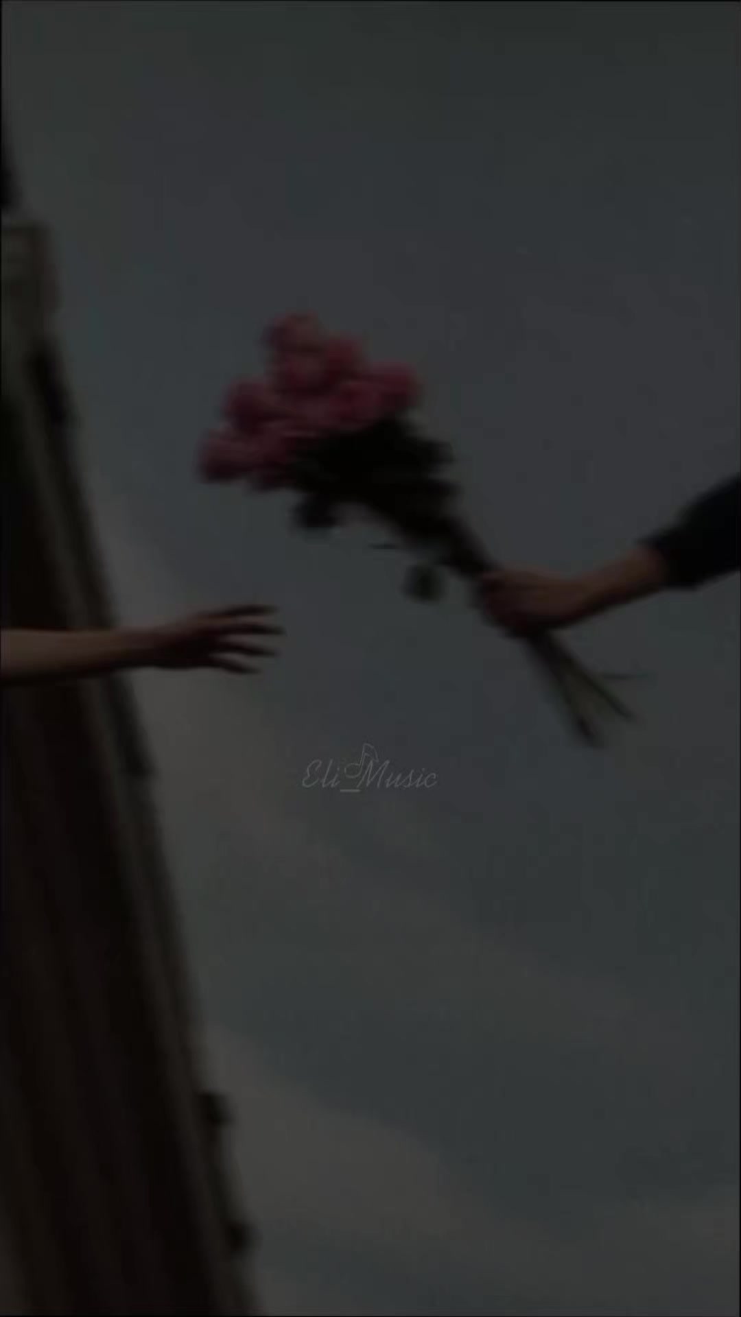 @𝐸𝑙𝑖_𝑀𝑢𝑠𝑖𝑐