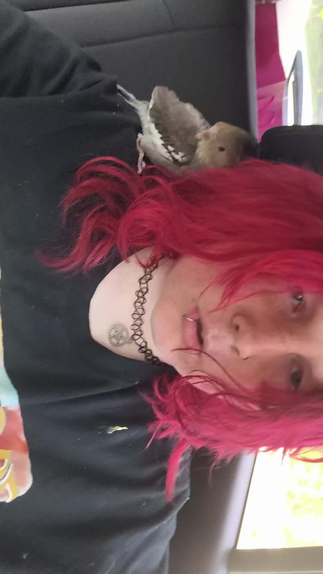 @🖤nubbins Sawyer🤘🏻