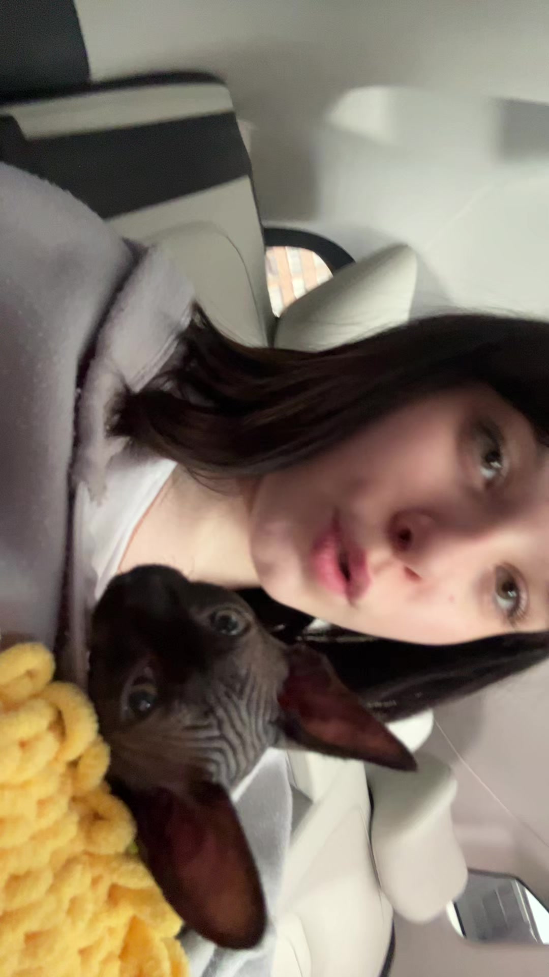 @алкоголя нет