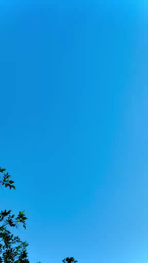 @"𝑺𝑯𝑨𝑵𝑰"