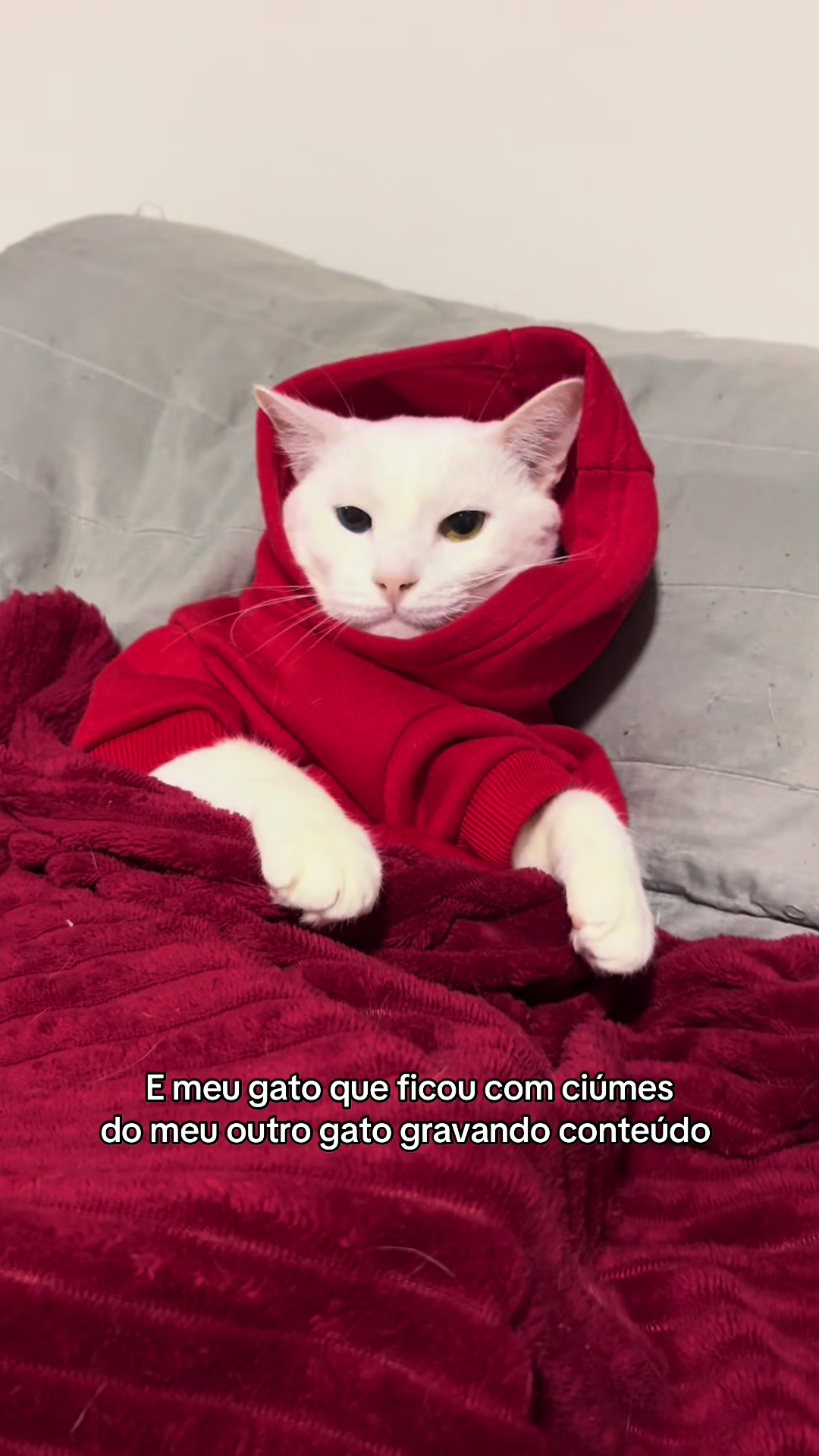 @Flavo de Mel | papais da Clara