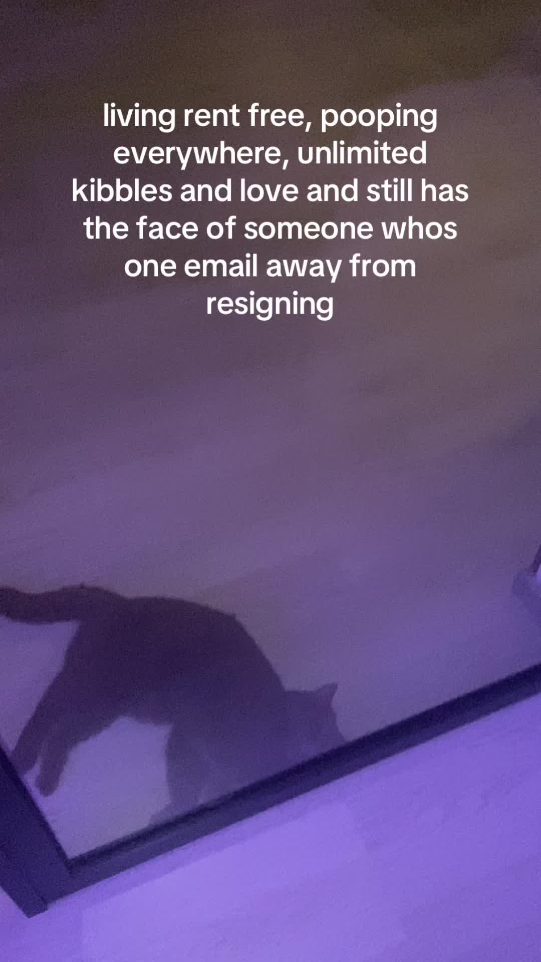 @mongjiii