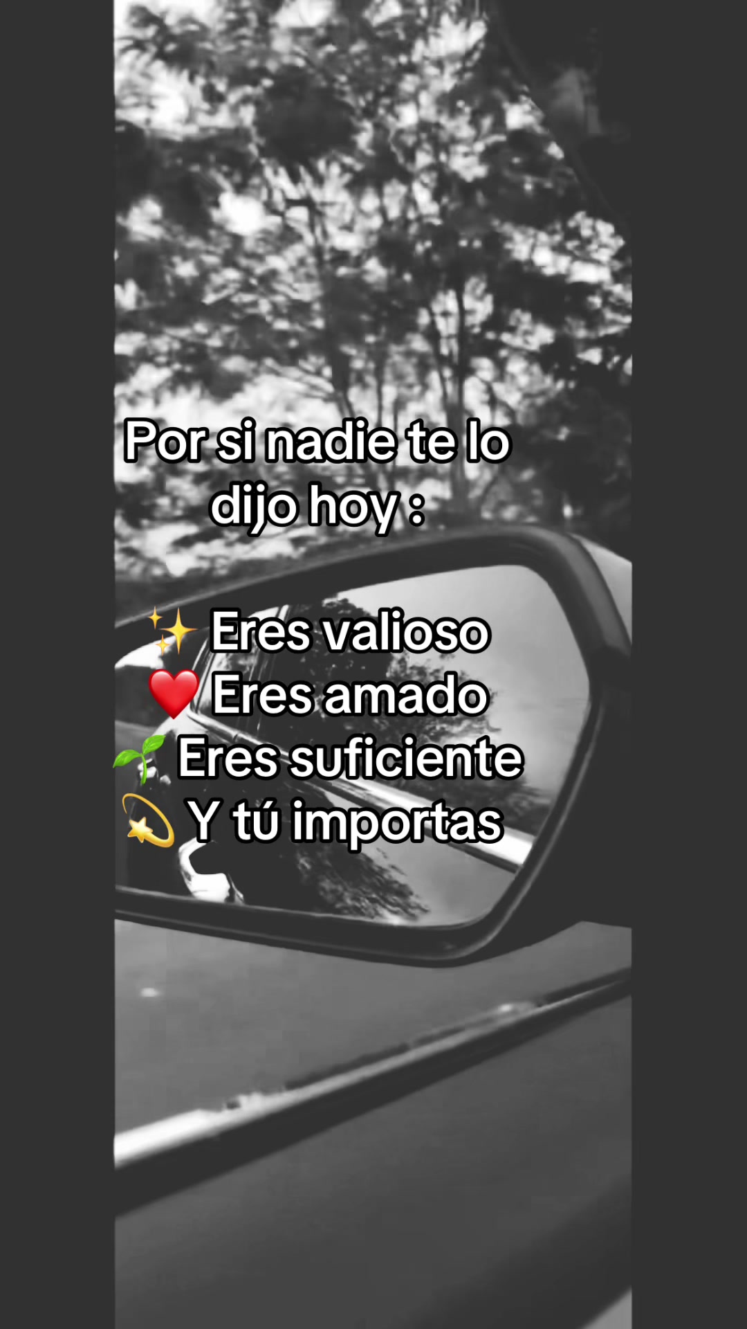 @mundo8881