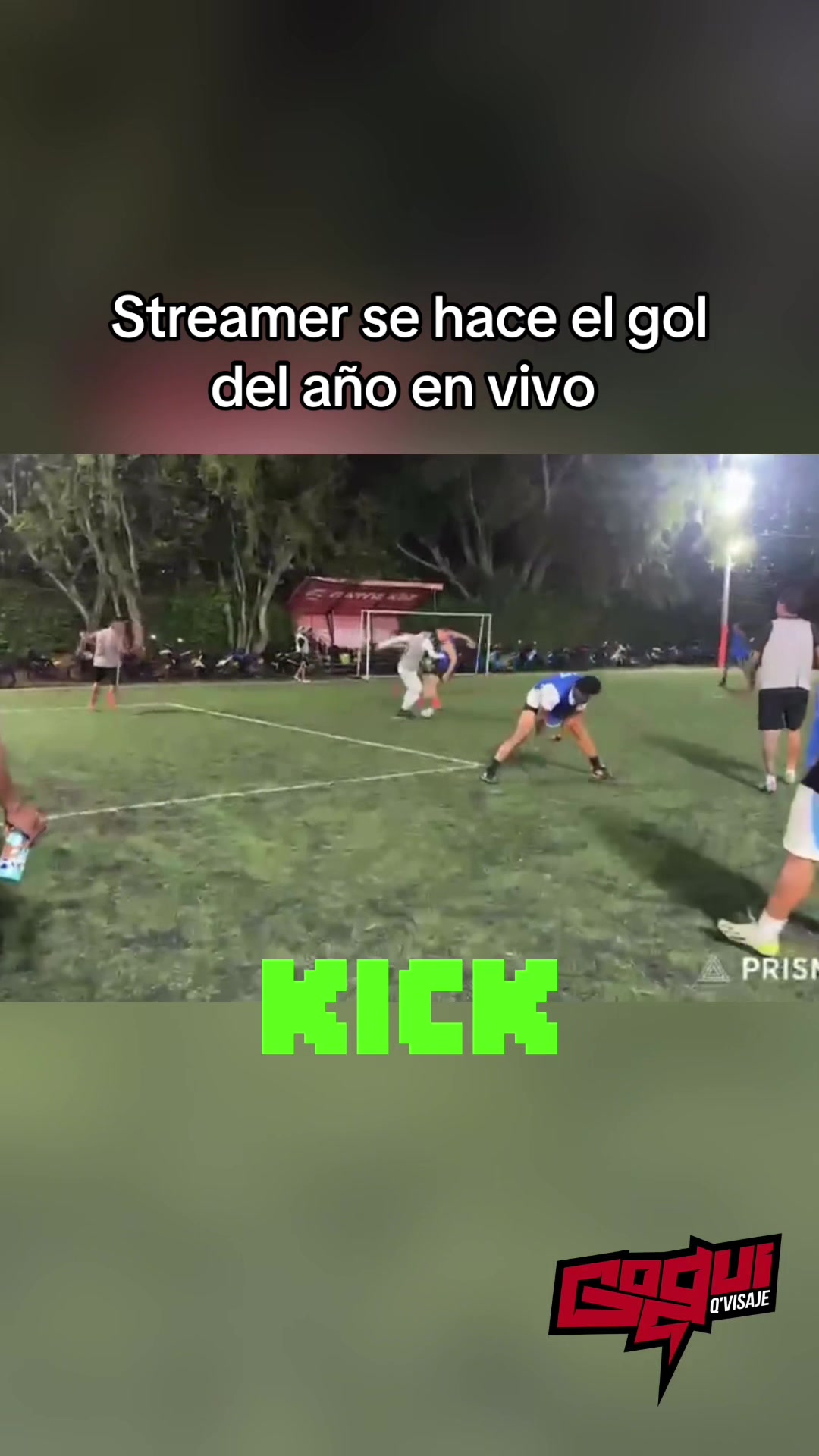 @thegogui1.0