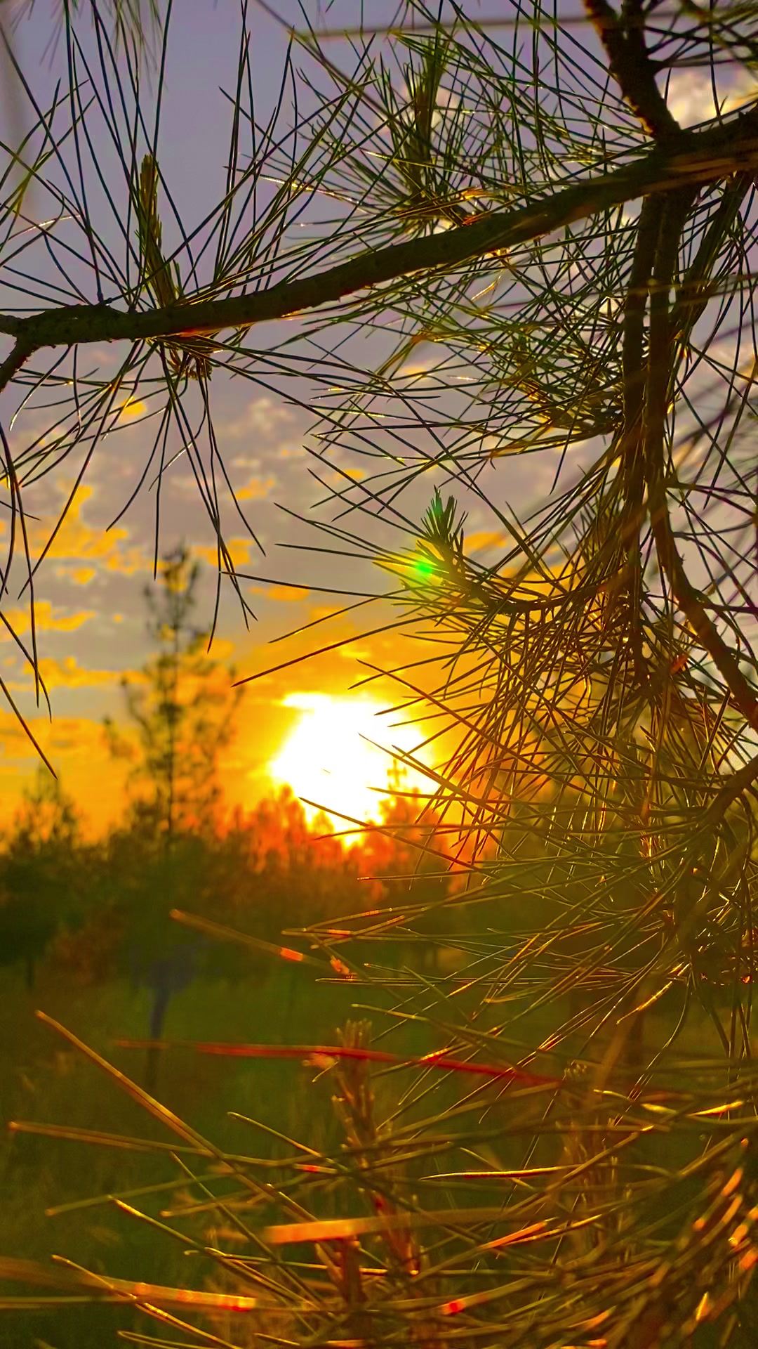 @ahmett_6334☀️