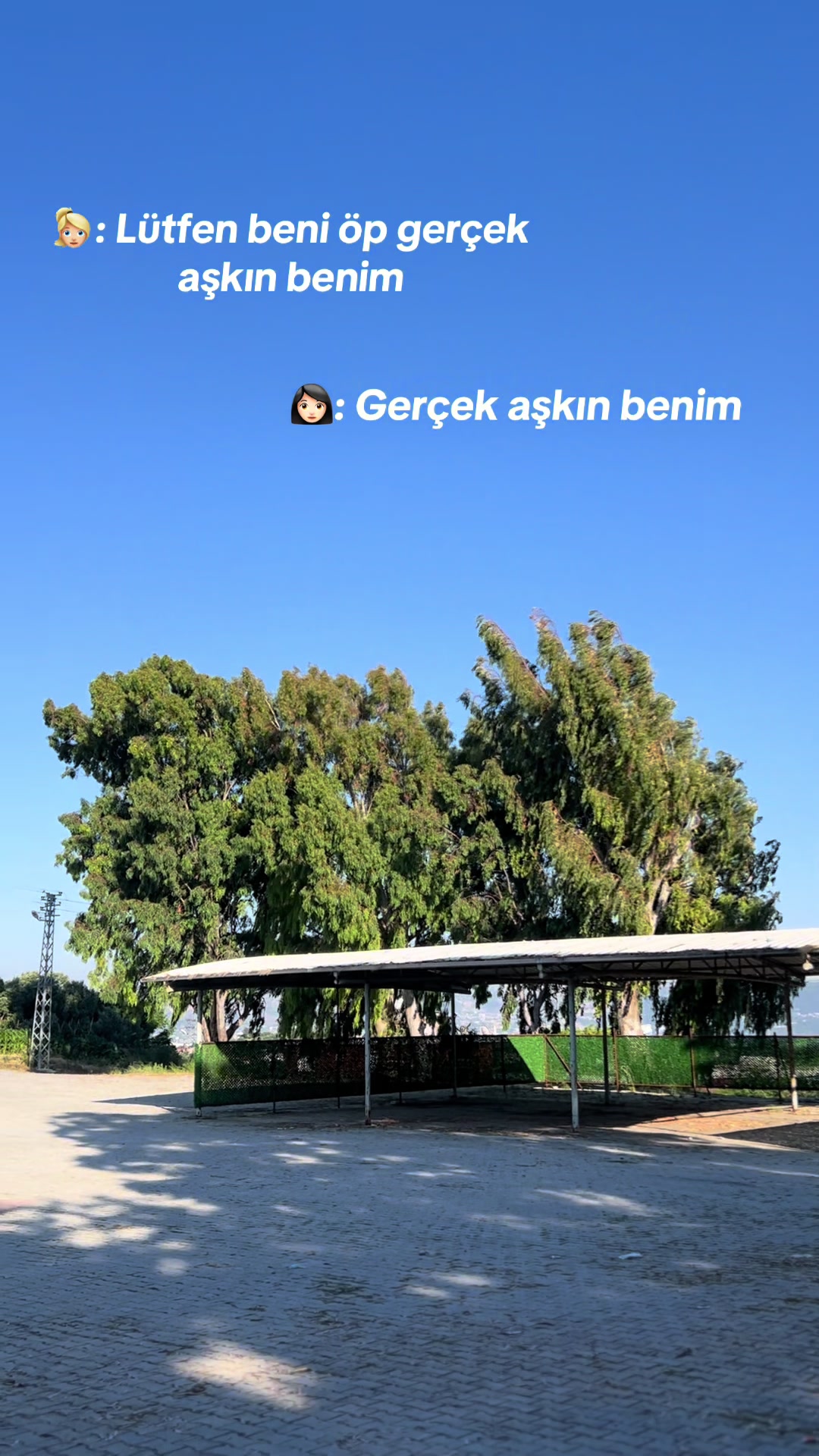 @çılgın Tamirci