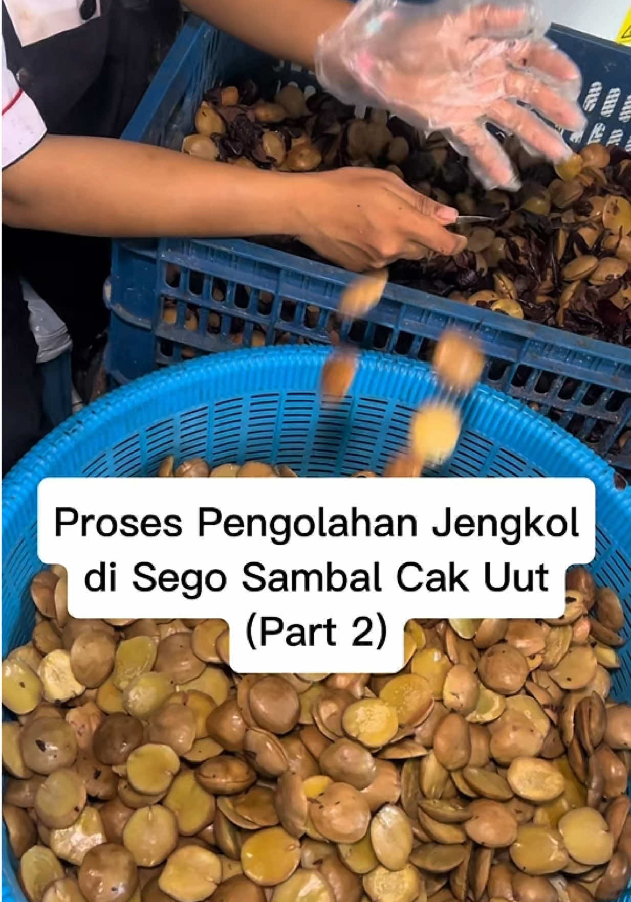 @SEGO SAMBEL CAK UUT