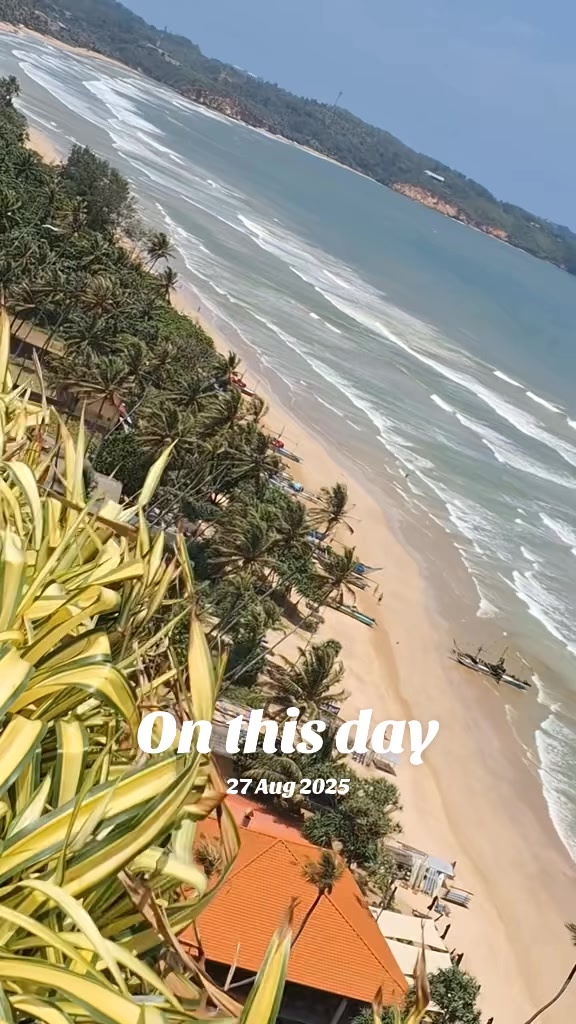 @Crazy_Nutz 🙃