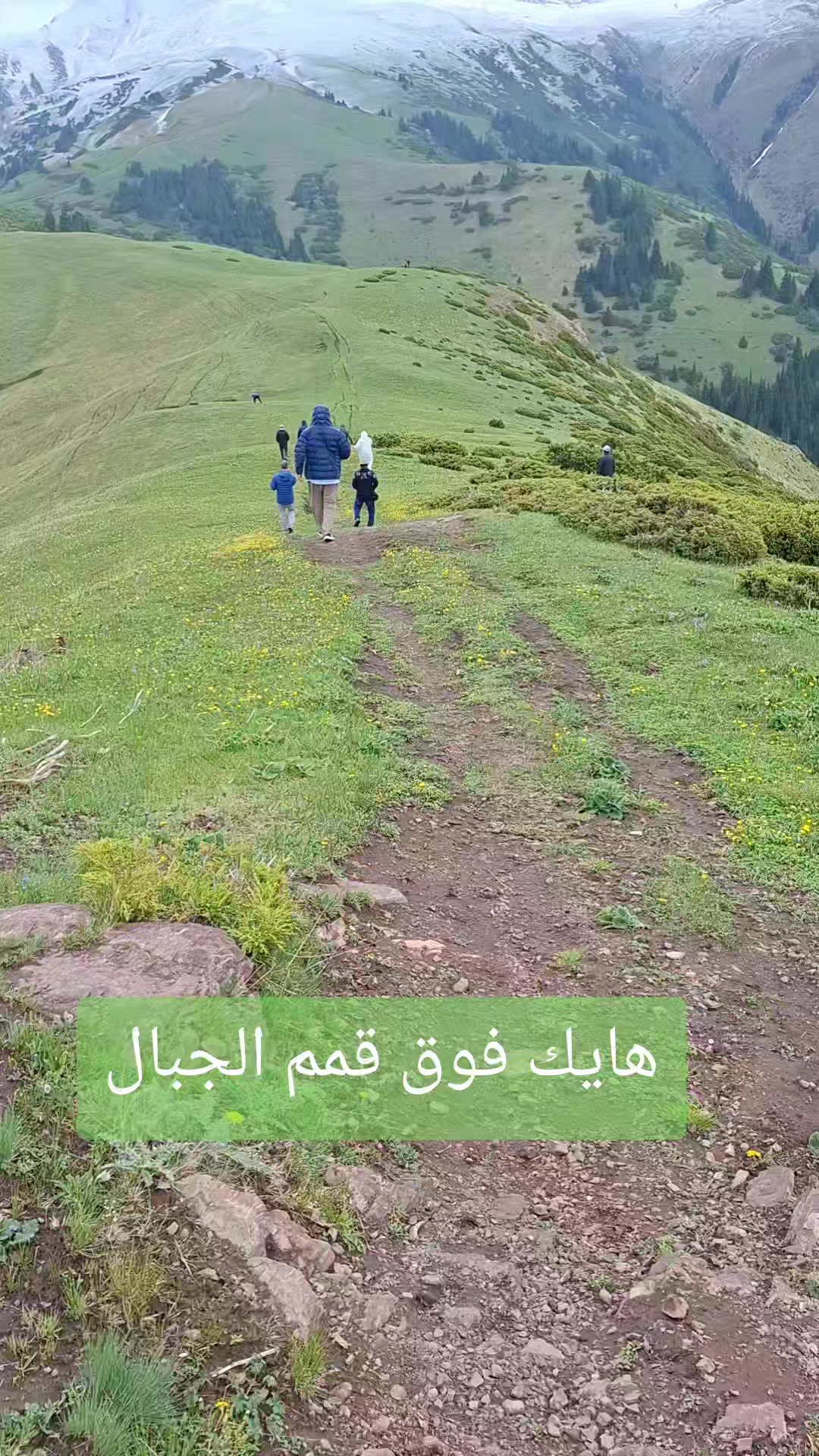@Adel N. Samarkandi