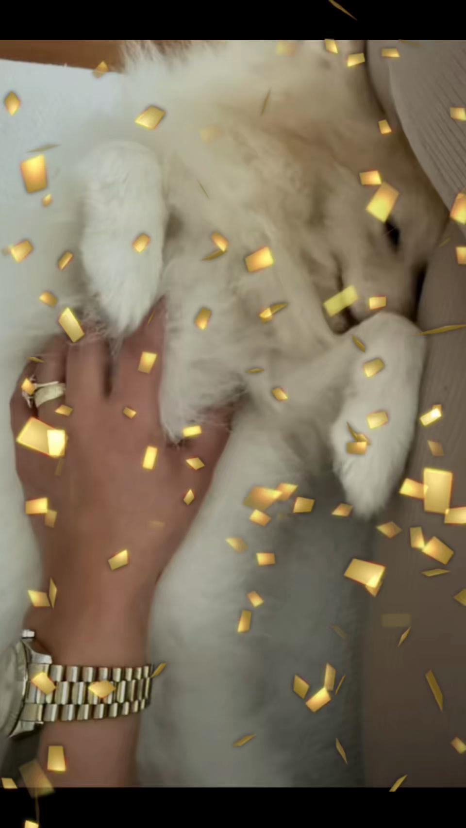 @Essoş