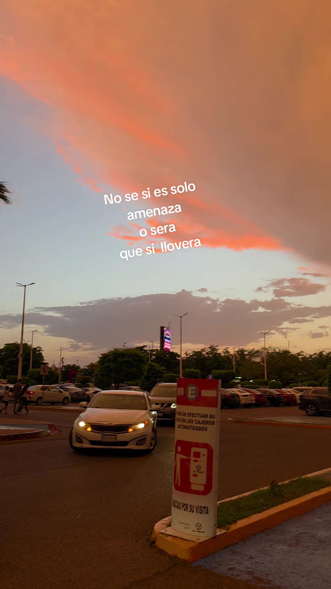@Siempre Viva!!!
