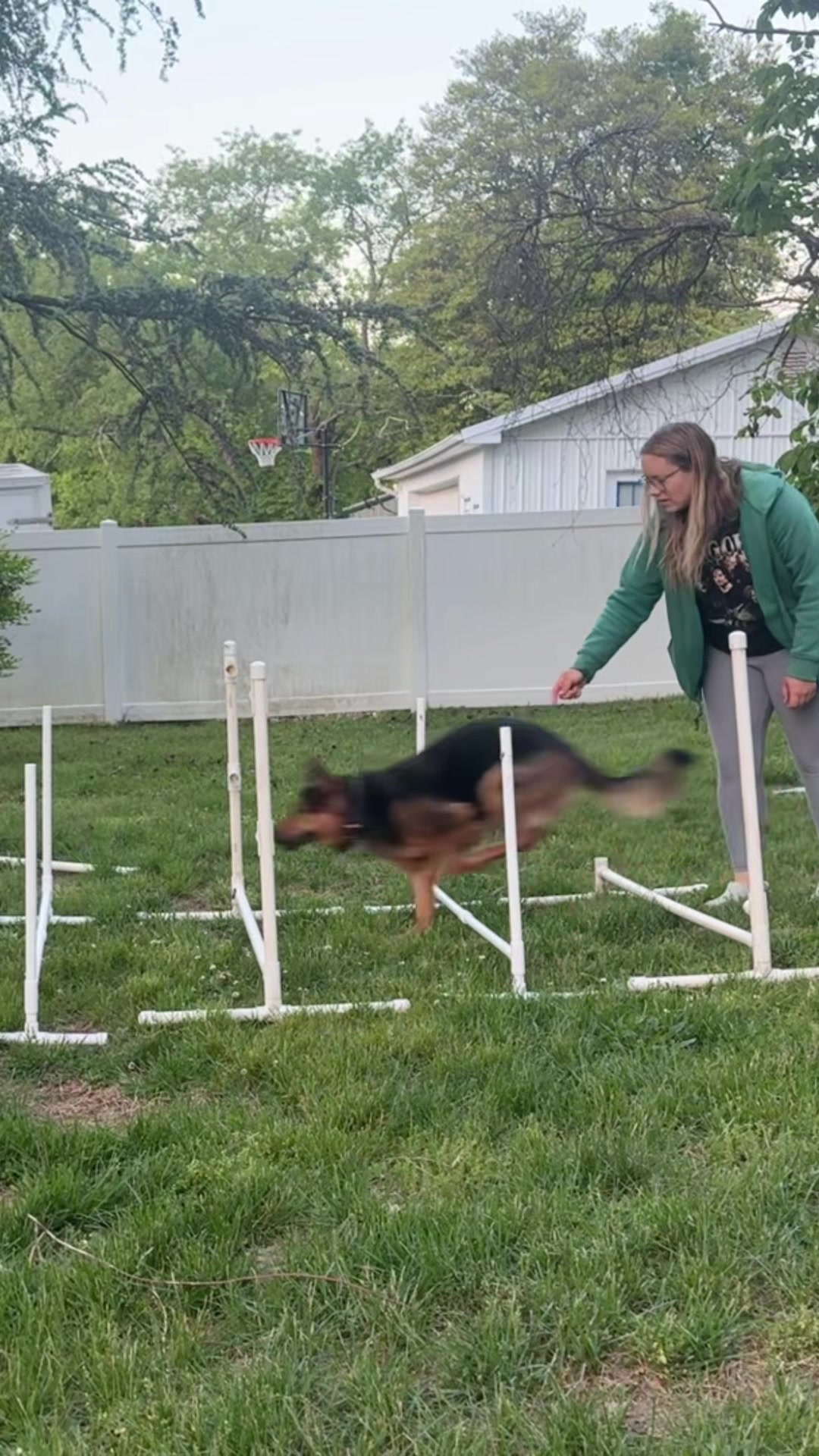@Dog Trainer Charlotte