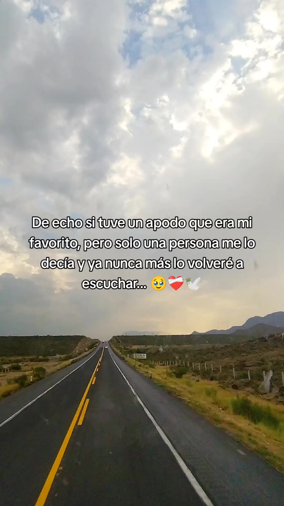 @Lulú Gómez Chapis