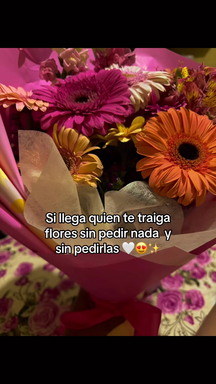 @🍭 Dul