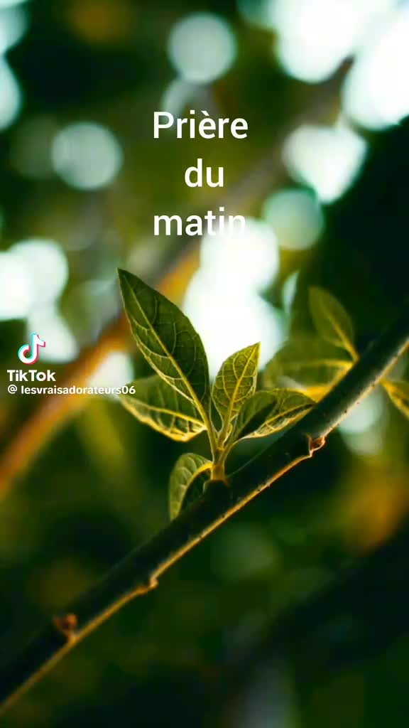 @Dalla Delphine